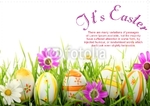 A5 Easter