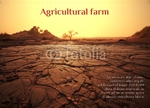 A6 Agriculture 6